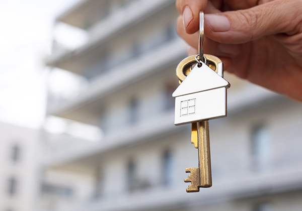 Annonces immobilières en Tunisie